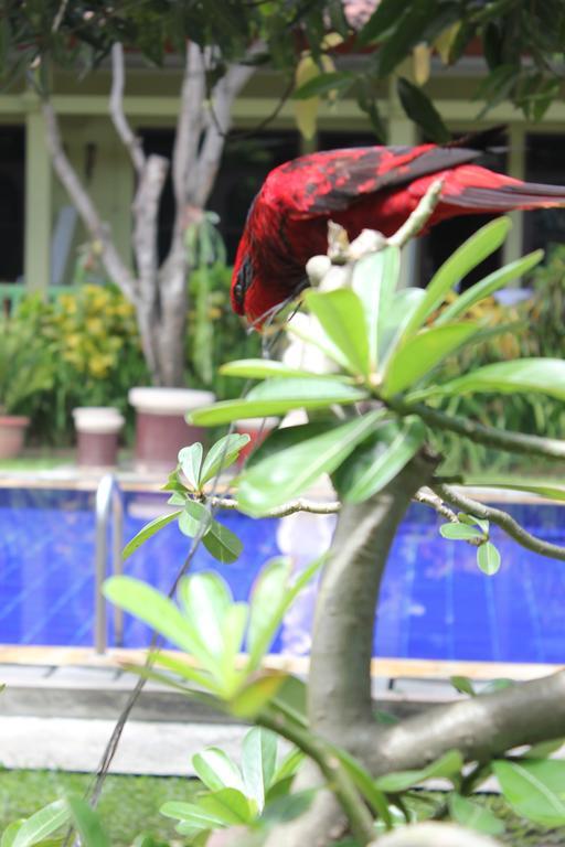 Hotel Puri Nusantara Kuta Lombok Exterior foto